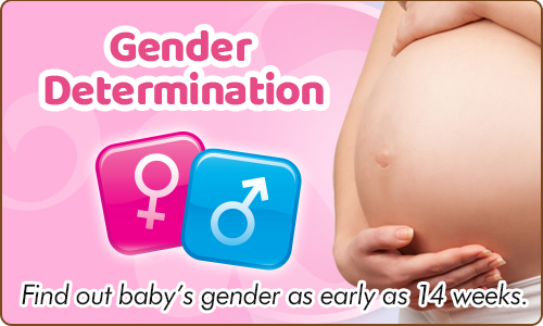 gender determination at 14 weeks
